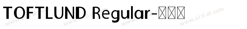 TOFTLUND Regular字体转换